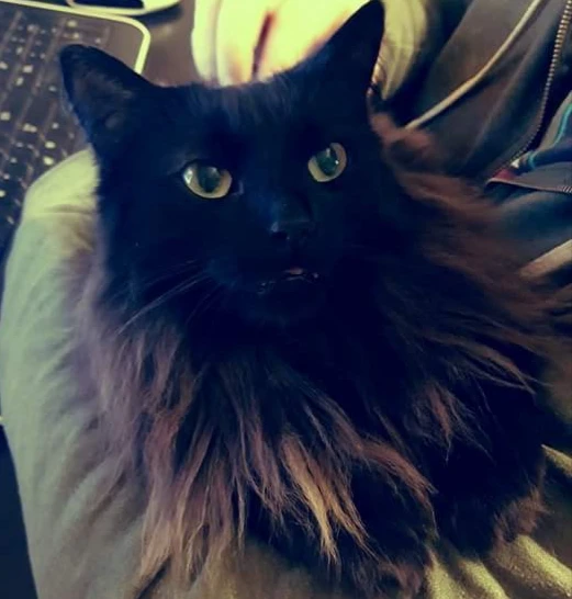 Trevor