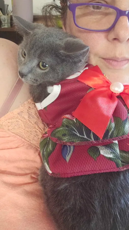 Tortilla thumbnail 3
