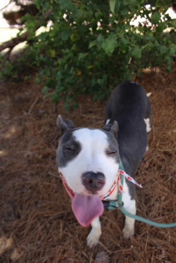Daisy Mae thumbnail 2