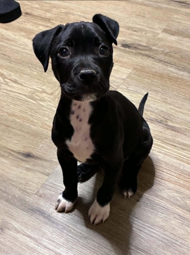 Peanut