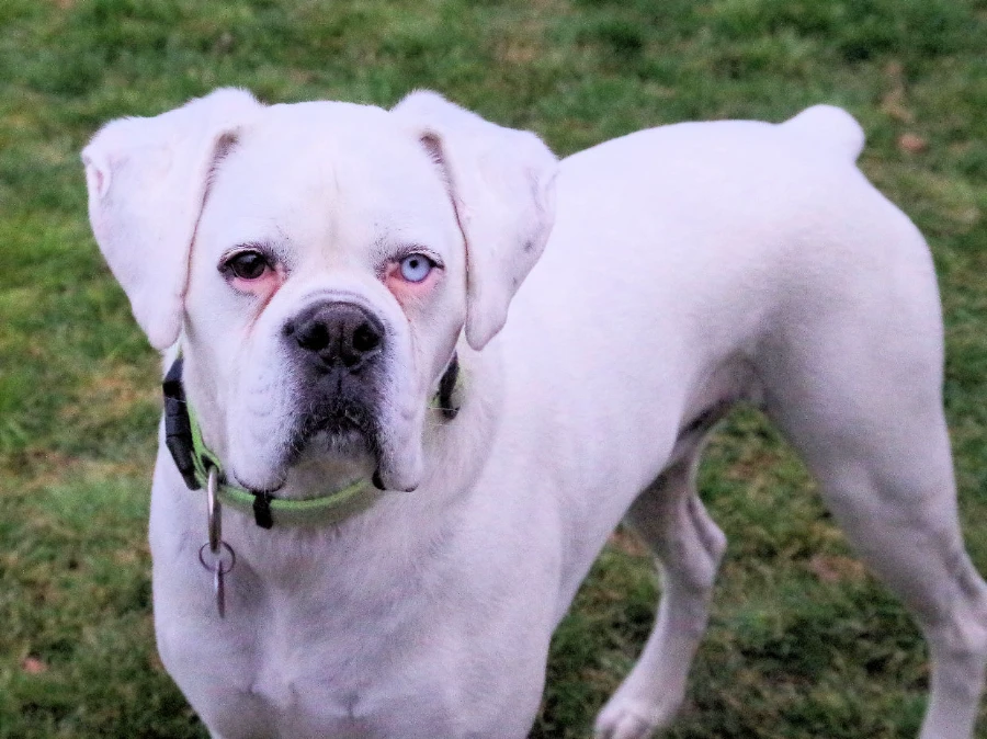 CASPER thumbnail 2