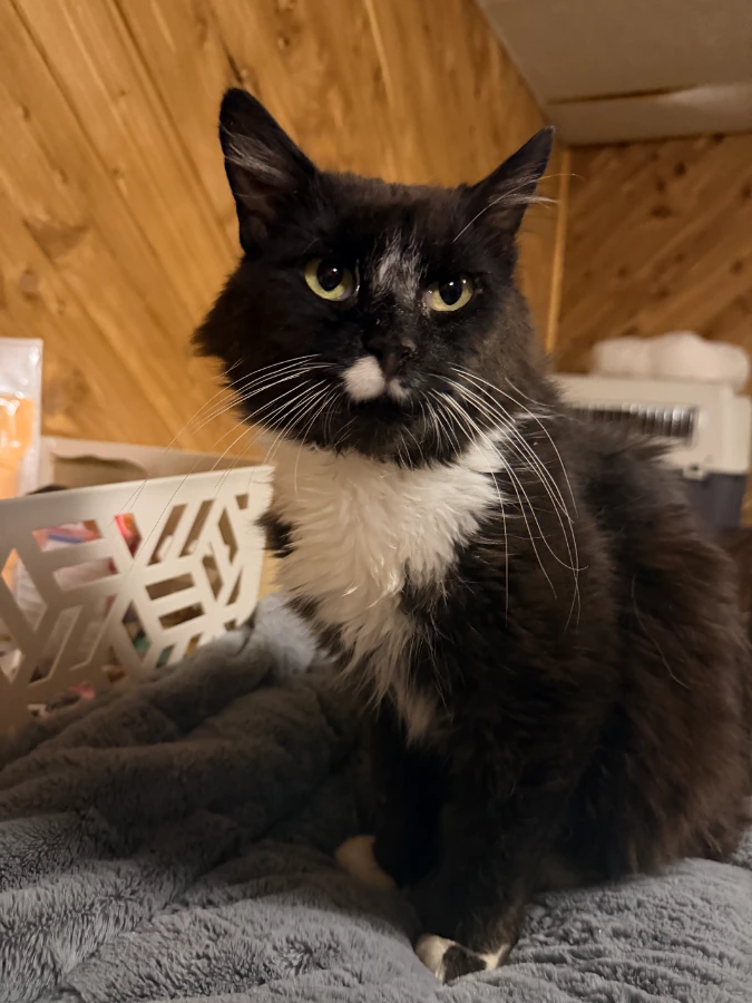 Roscoe