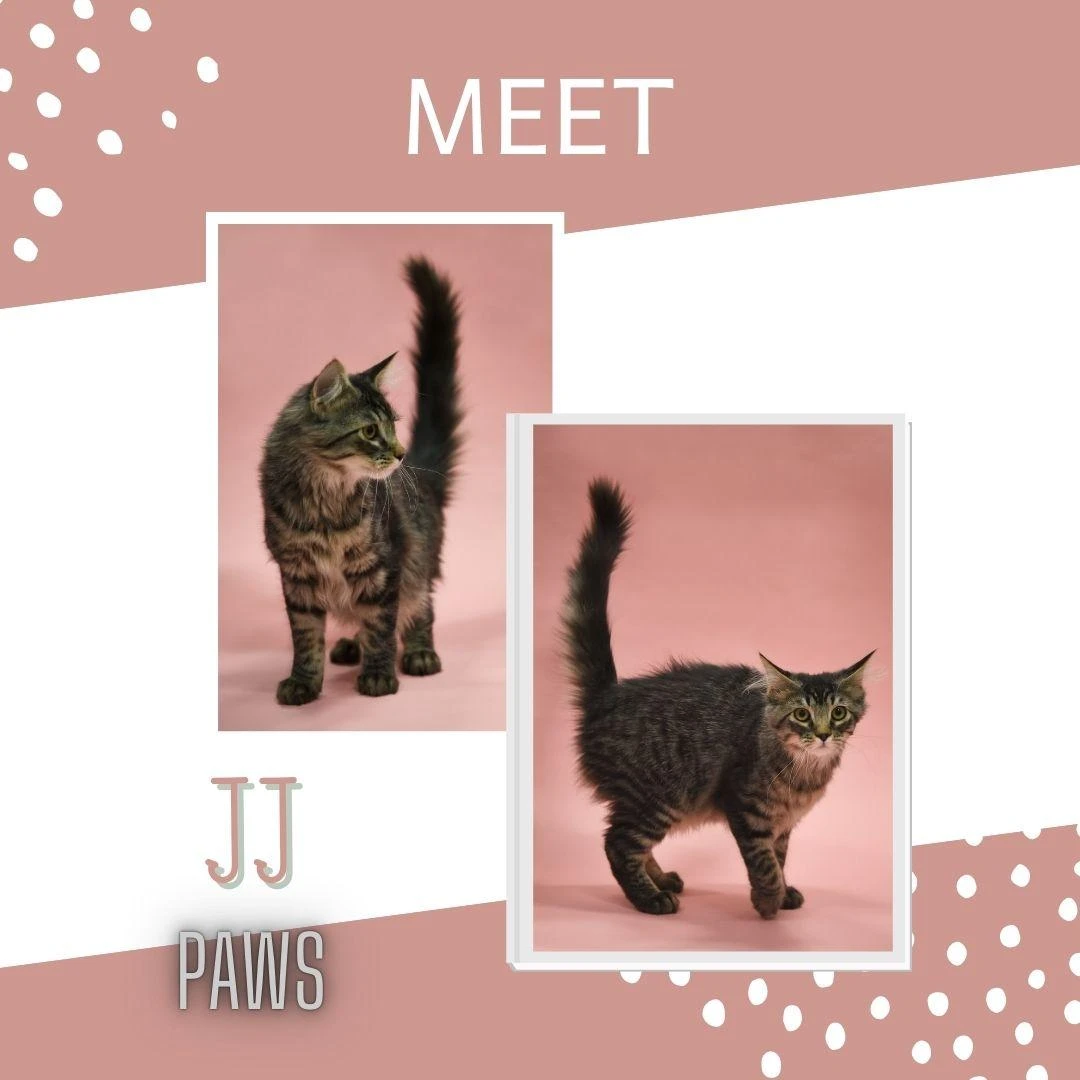 JJ