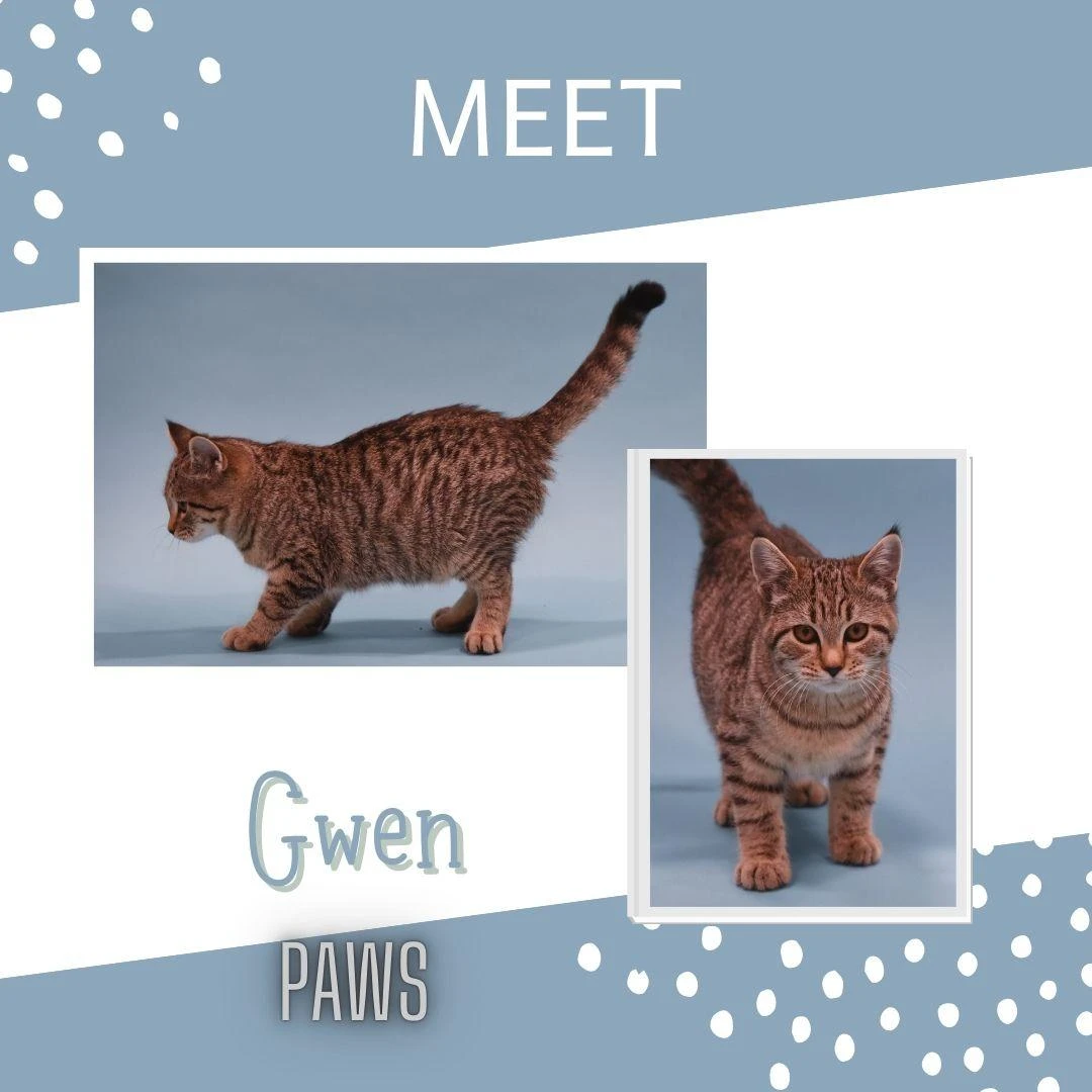 Gwen