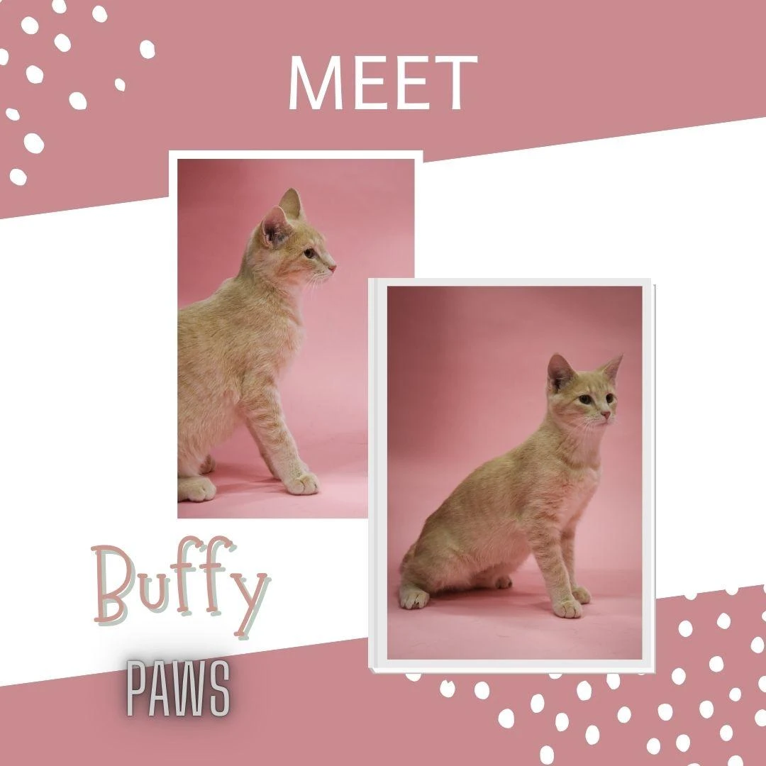Buffy