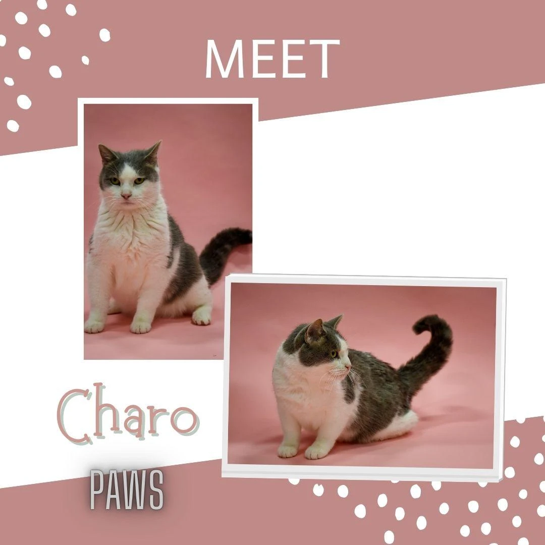 Charo