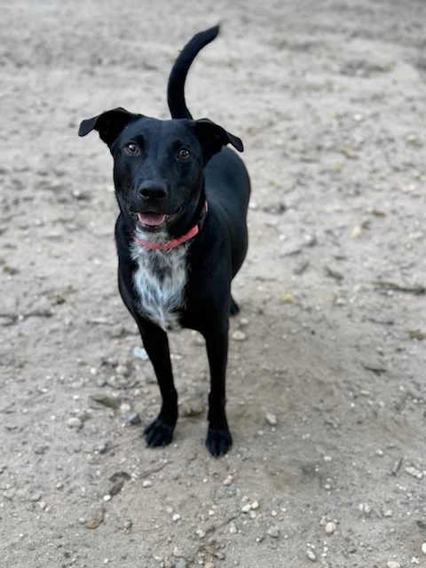 Skye