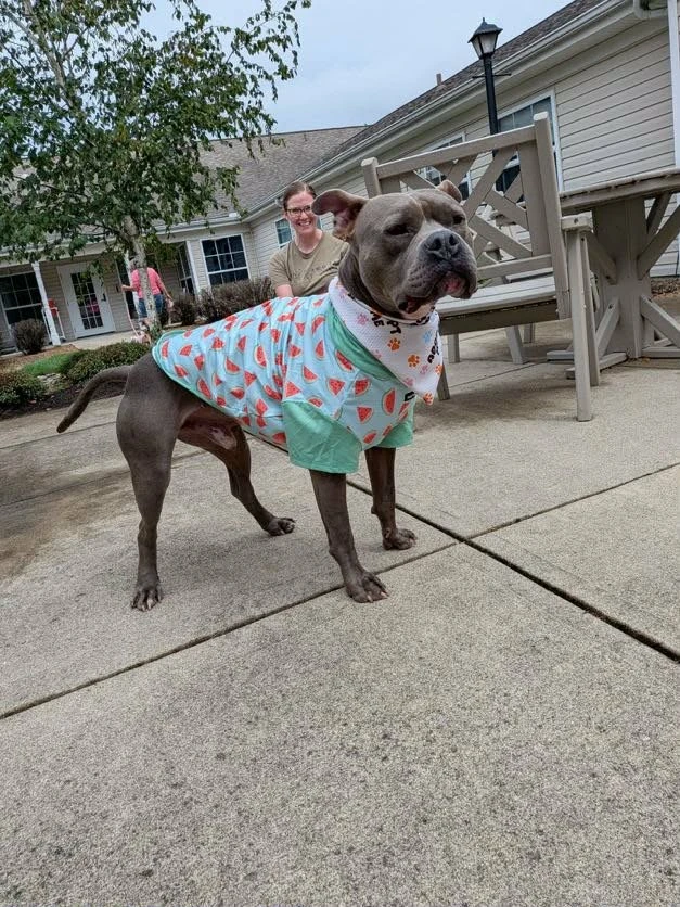 Murphy (formerly known as Morgan) thumbnail 3