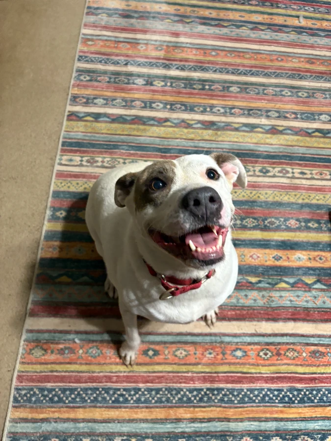 Rosie