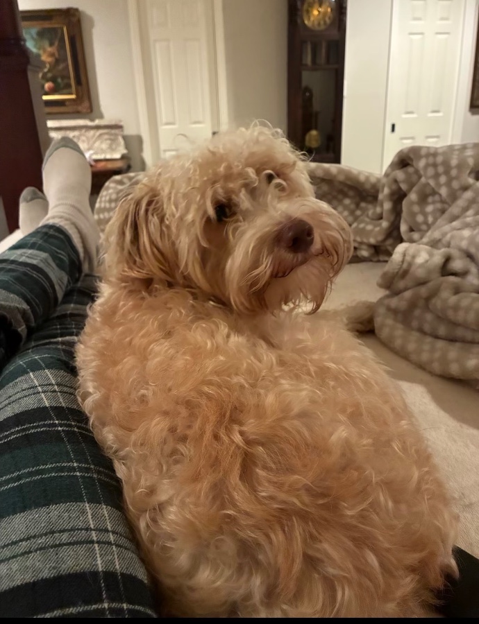 Ralphie thumbnail 5