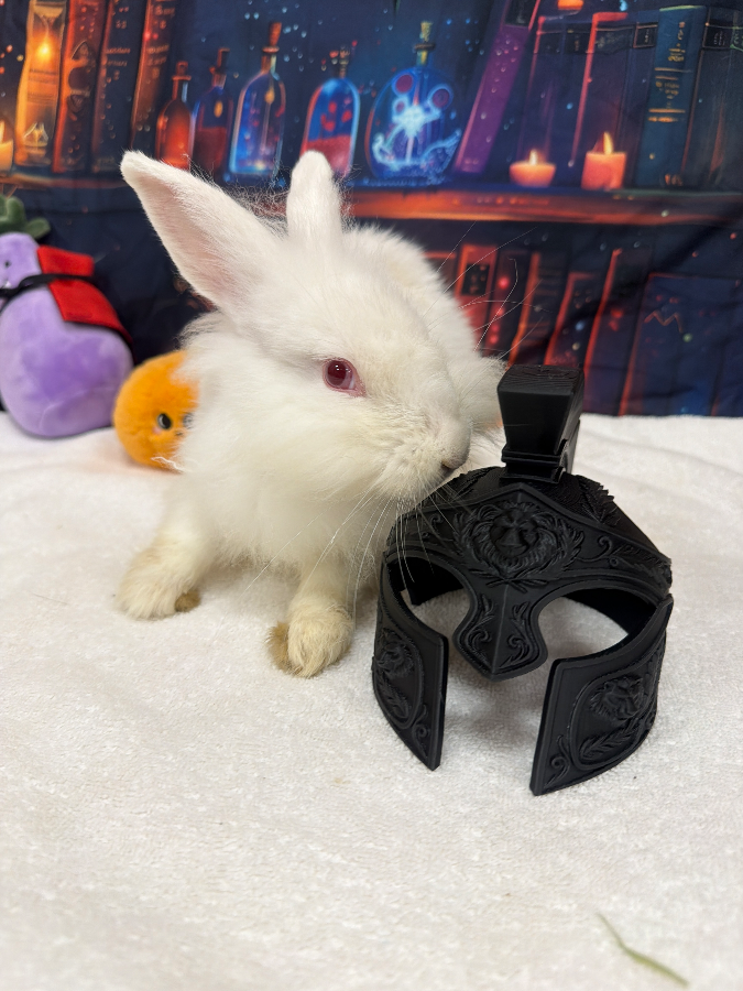 Bunilla Bean thumbnail 2