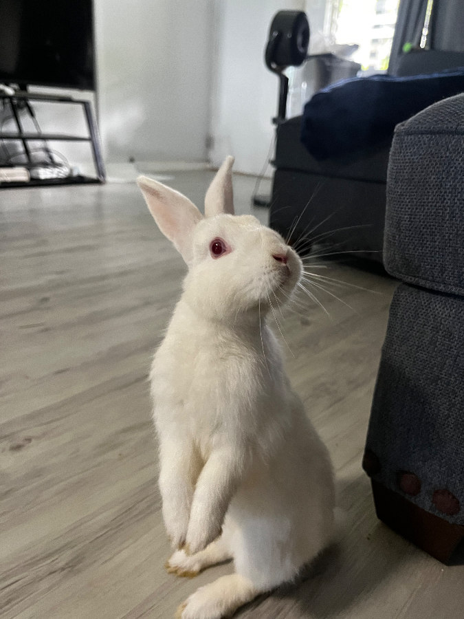 Peaches thumbnail 2