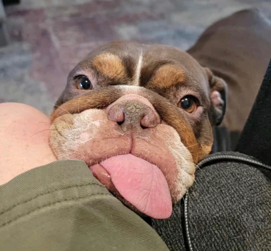 Marley Mae thumbnail 5
