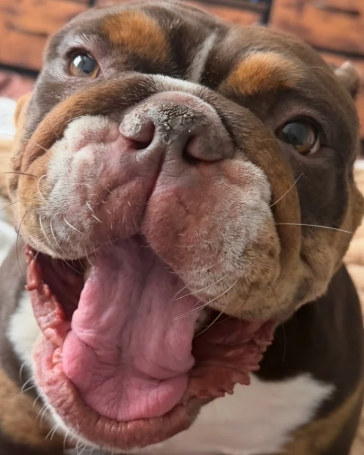 Marley Mae thumbnail 4