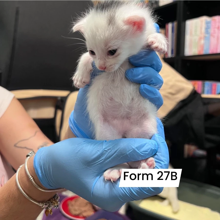 Form 27B