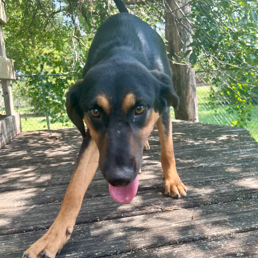 Lucy