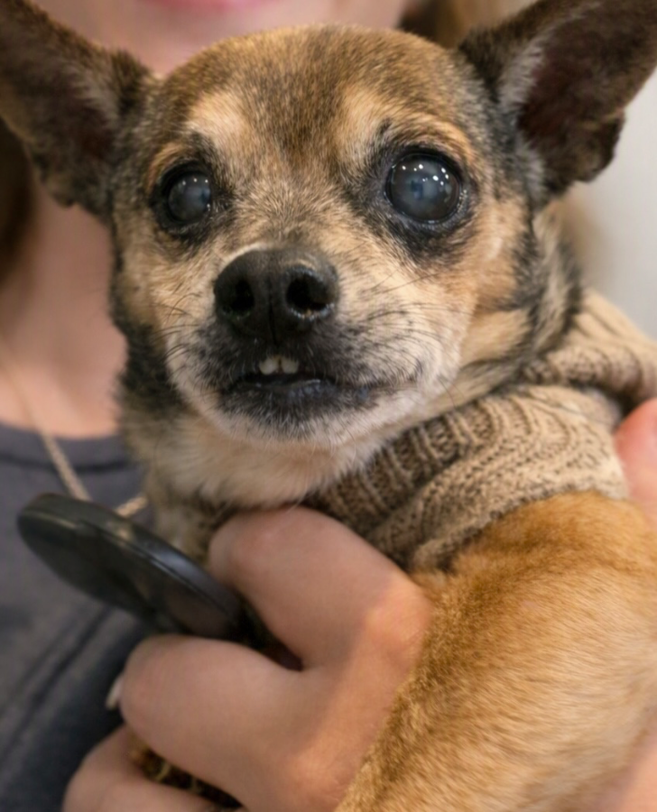 Seymour thumbnail 3