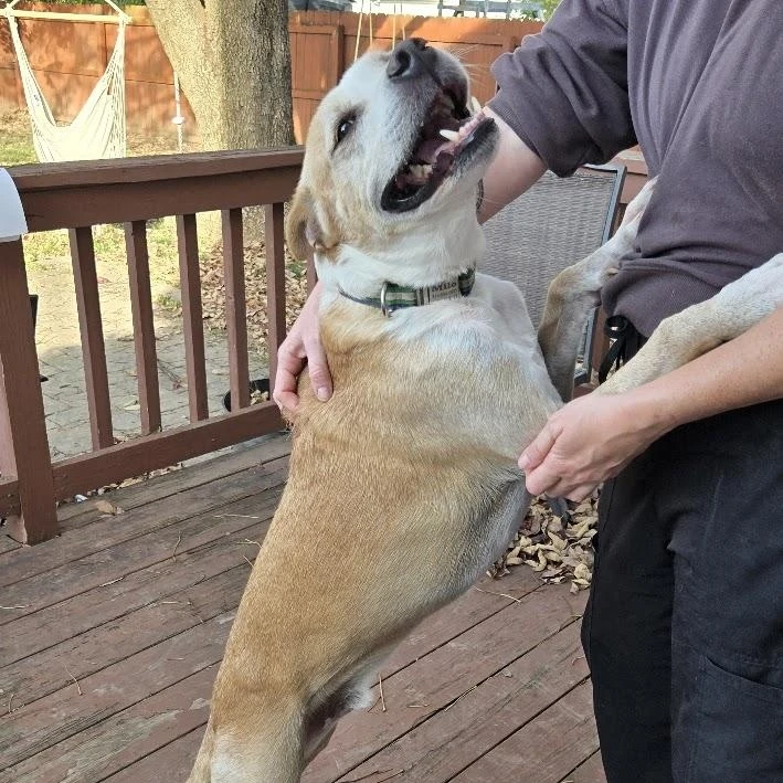 Milo