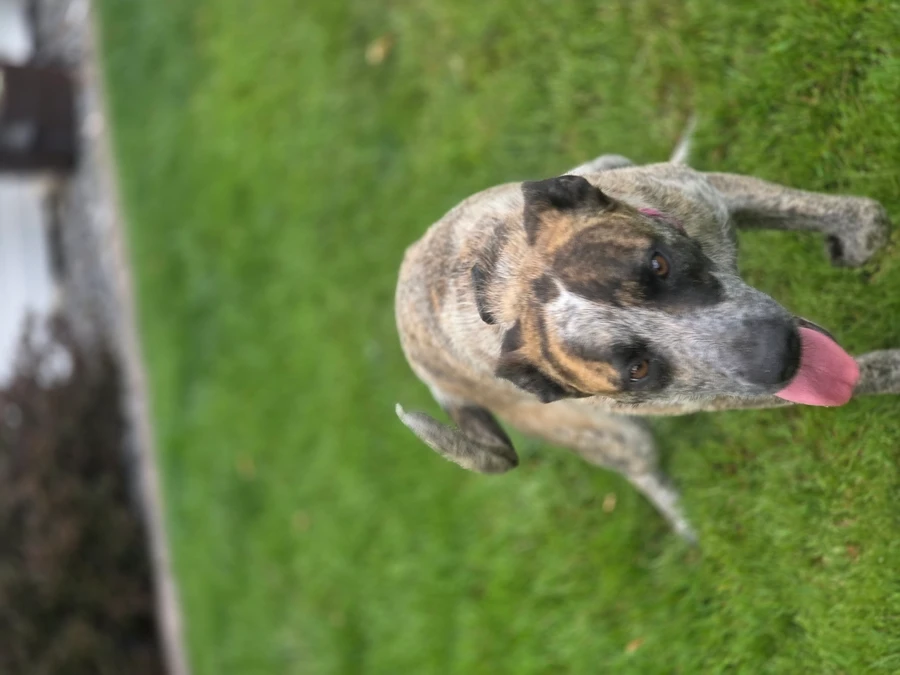 Thelma thumbnail 10
