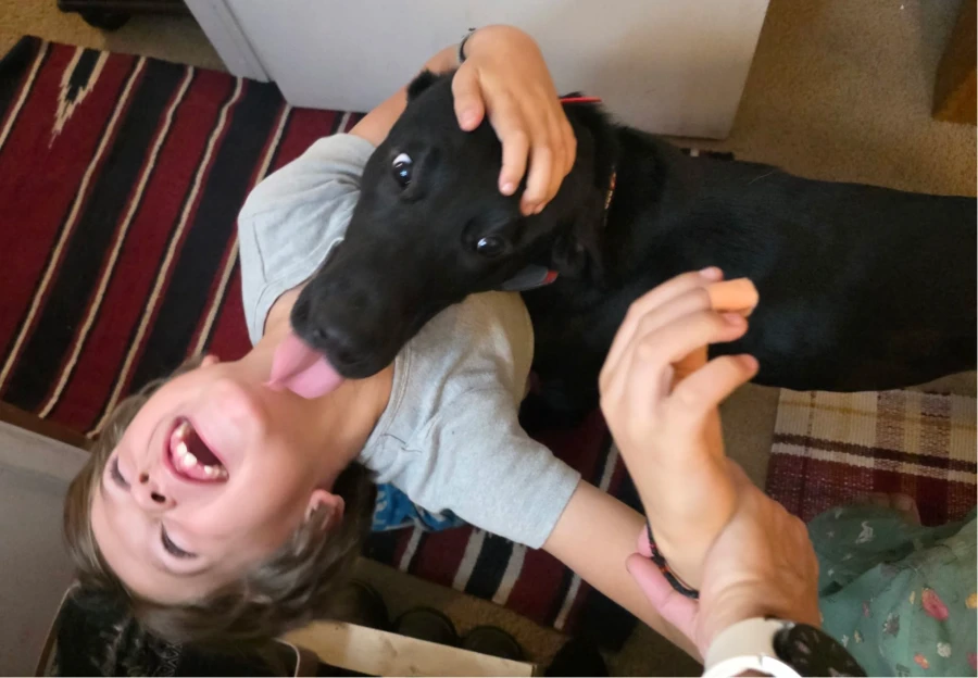 Jensen thumbnail 18
