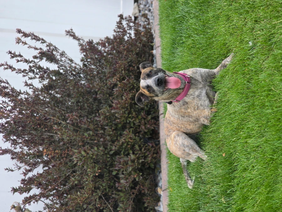 Thelma thumbnail 15