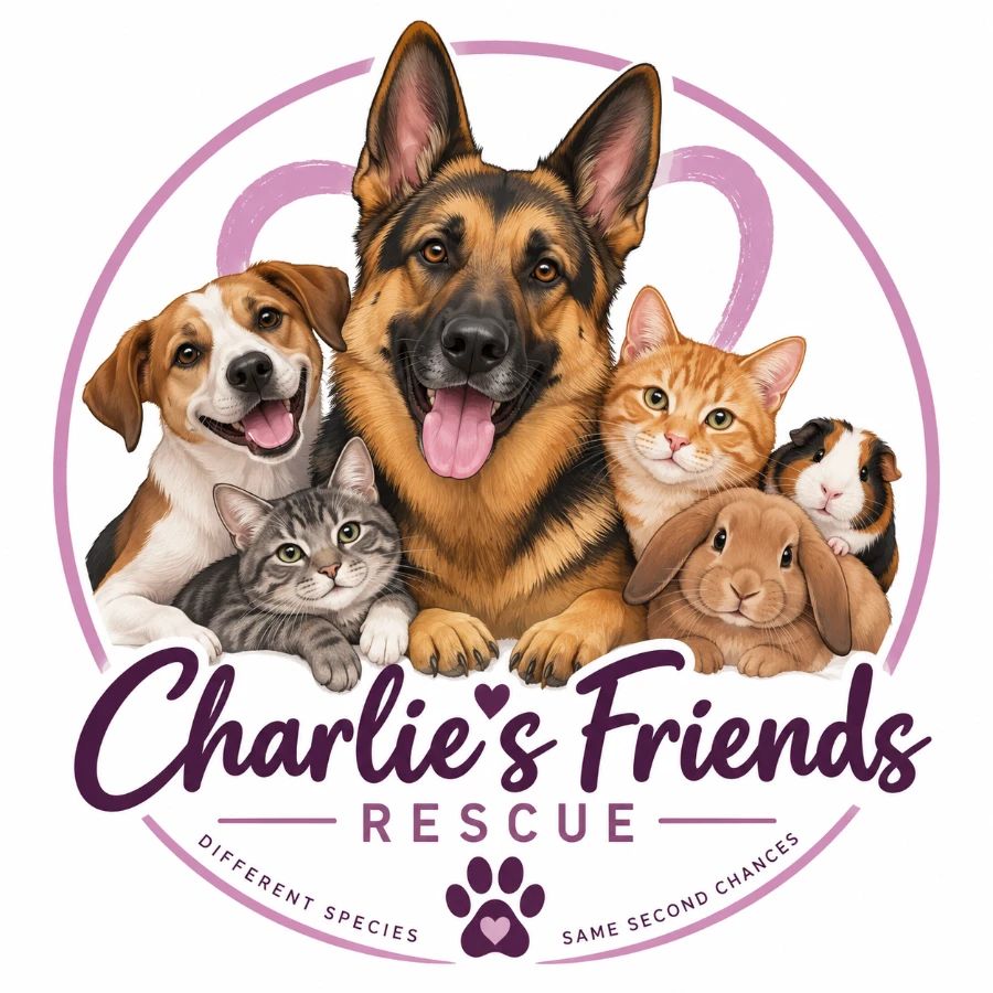 Charlie's Fans logo