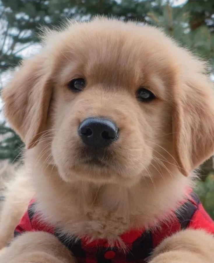 Matilda
