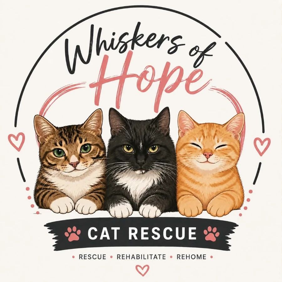 Whiskers of Hope Cat Rescue logo