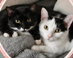 Nancy & Sidney