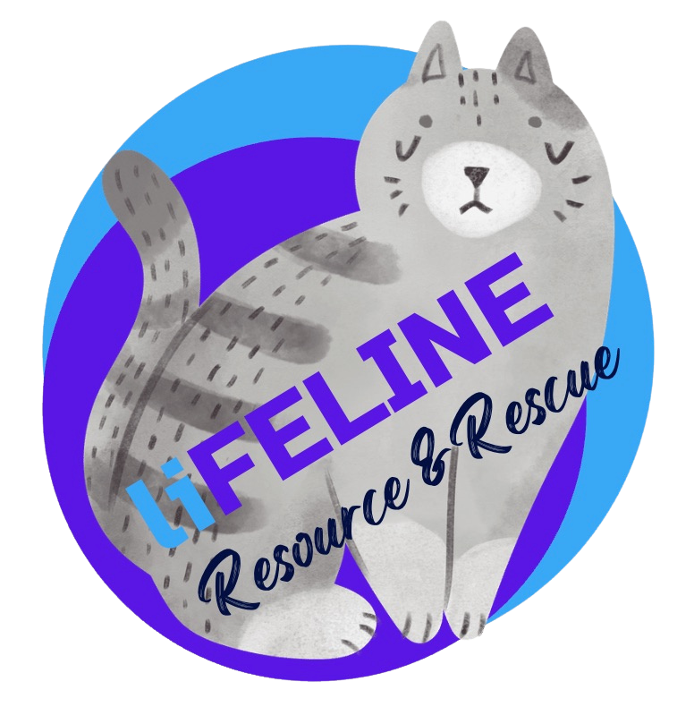 LiFELINE R&R logo