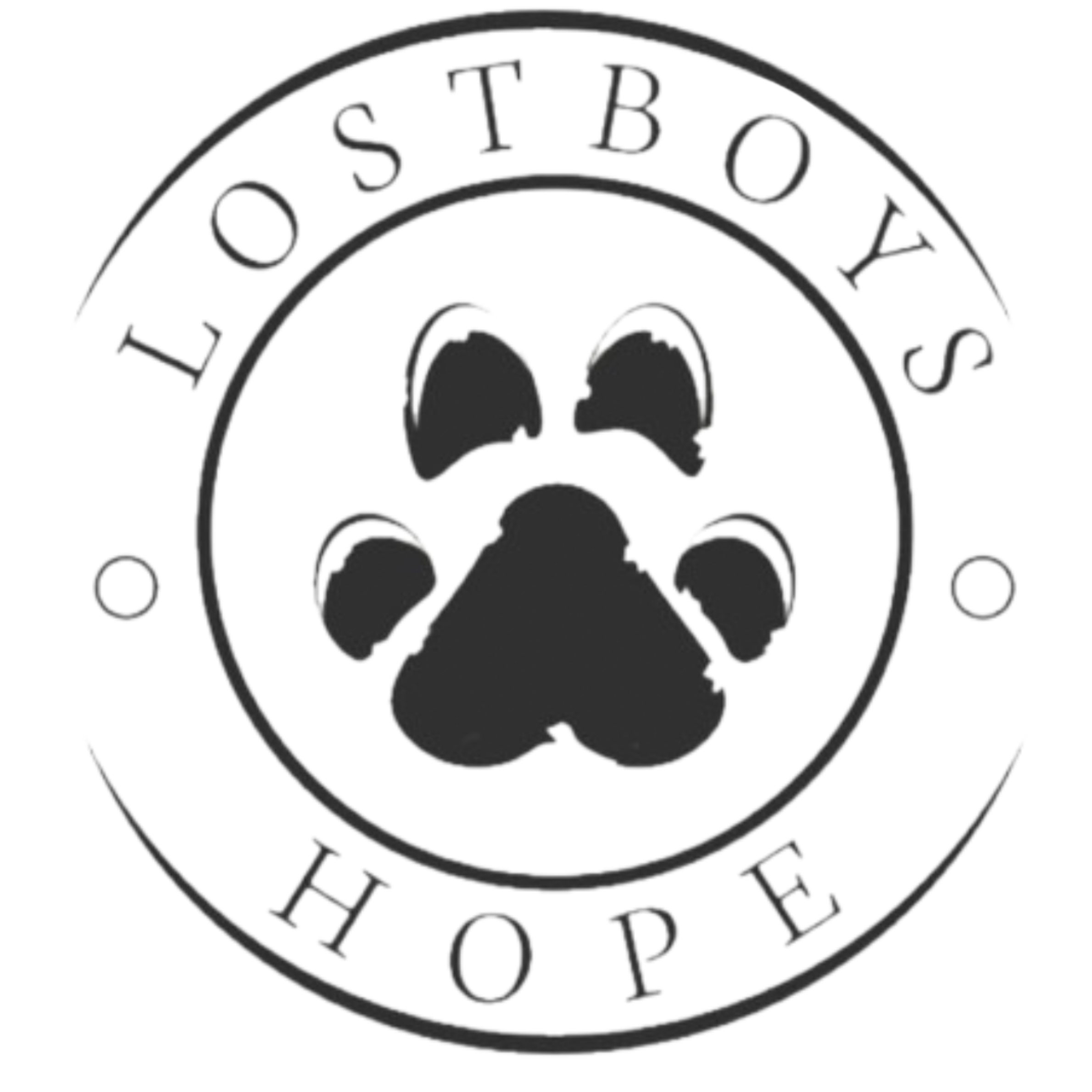 Lost Boys Hope logo
