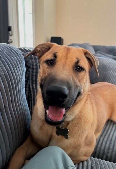 Zuko 