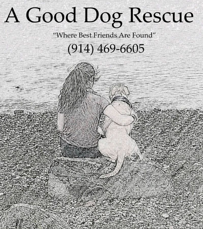 A Good Dog Rescue logo