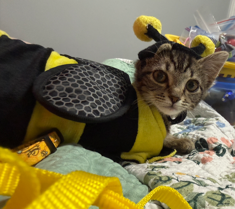 BUMBLE