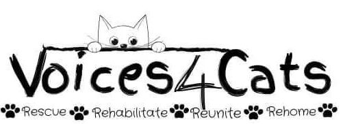 Voices4Cats logo