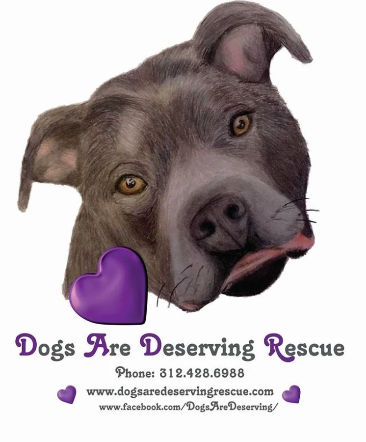 Dogs are Deserving Rescue logo