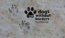 Dogs Without Borders Foundation logo