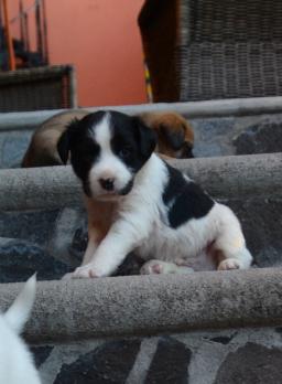 Billy