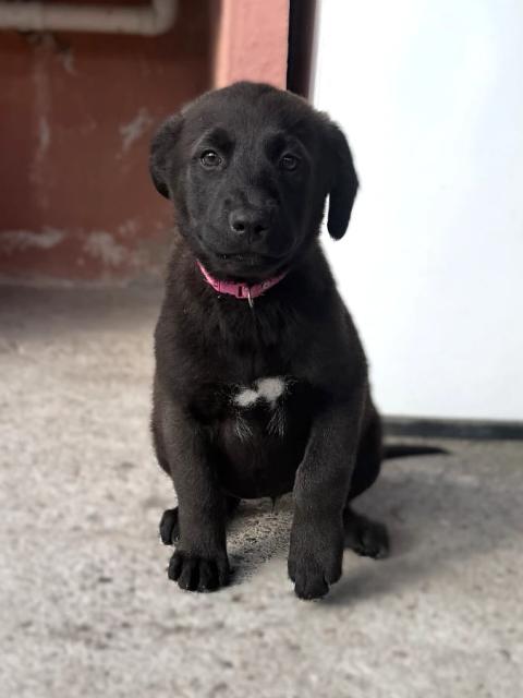 Marley