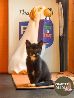 Salem, image 3