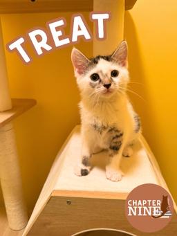 Treat, image 2