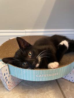 Salem, image 2