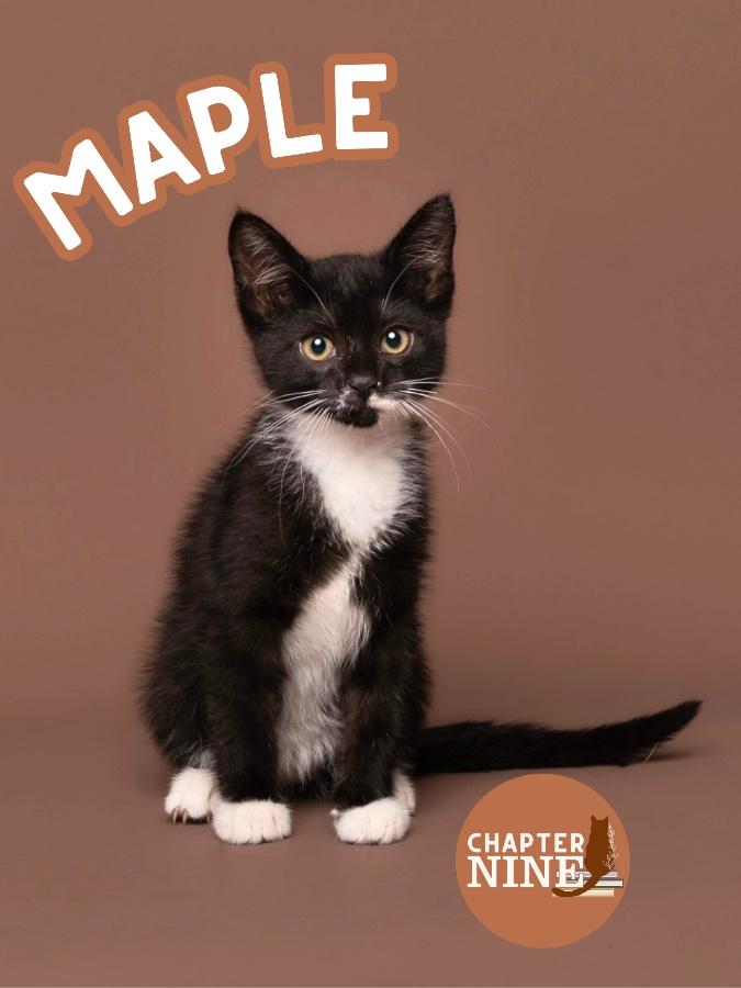 Maple