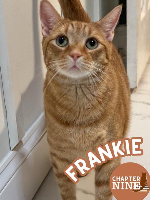 Frankie