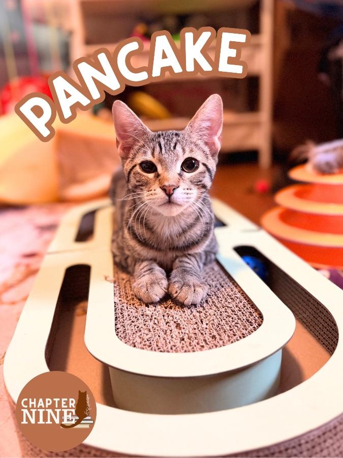 Pancake