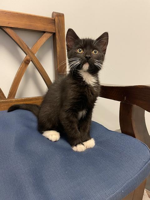 Salem