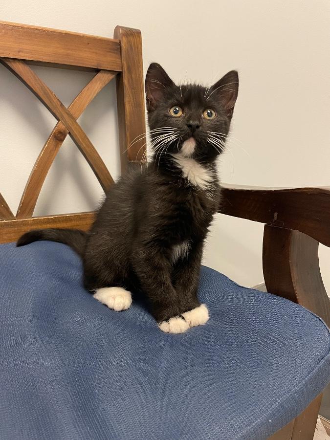 Salem