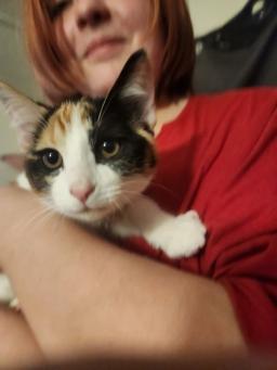 Stella Rose , image 4