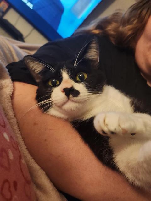 Ozzy
