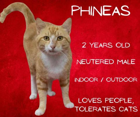 Phineas